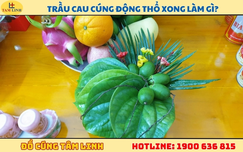 Trầu cau cúng động thổ xong làm gì