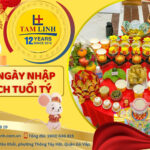 xem ngay nhap trach tuoi ty