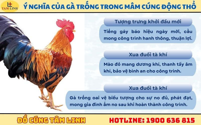 Ý nghĩa của gà trống trong mâm cúng động thổ