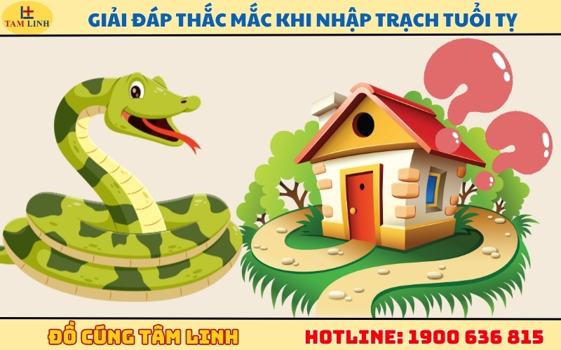 Giải đáp thắc mắc thường gặp khi nhập trạch tuổi Tỵ
