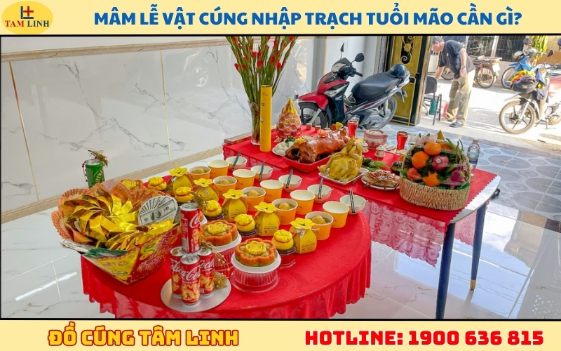Mâm lễ vật cúng nhập trạch tuổi Mão cần gì