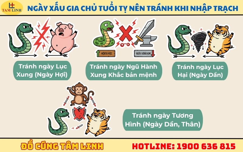 Những ngày XẤU gia chủ tuổi Tỵ nên tránh khi nhập trạch