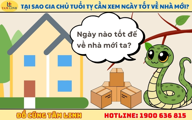 Tại sao gia chủ tuổi Tỵ cần xem ngày tốt về nhà mới
