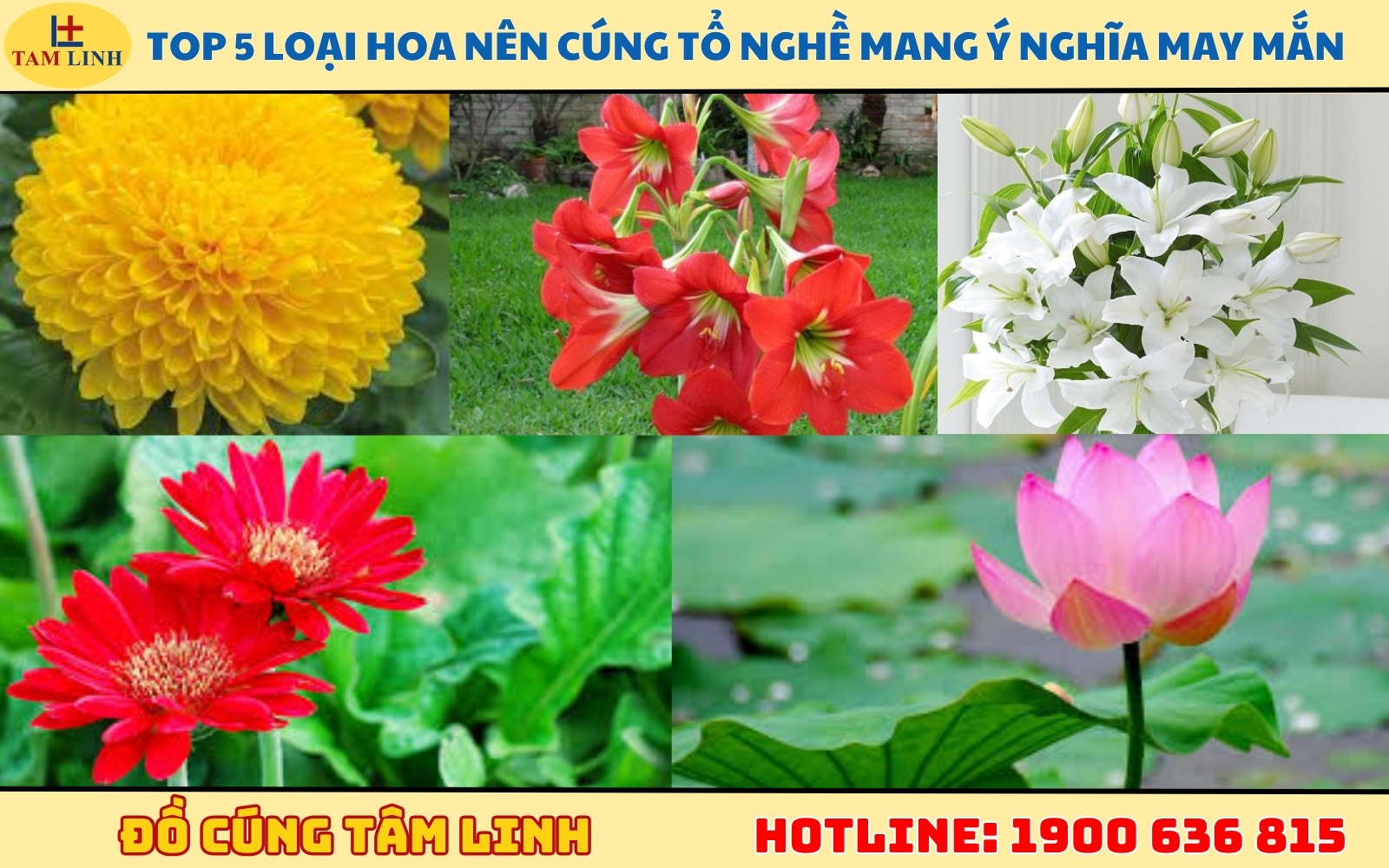 Top 5 loại hoa nên cúng tổ nghề mang ý nghĩa may mắn