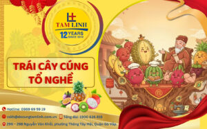 trai cay cung to nghe