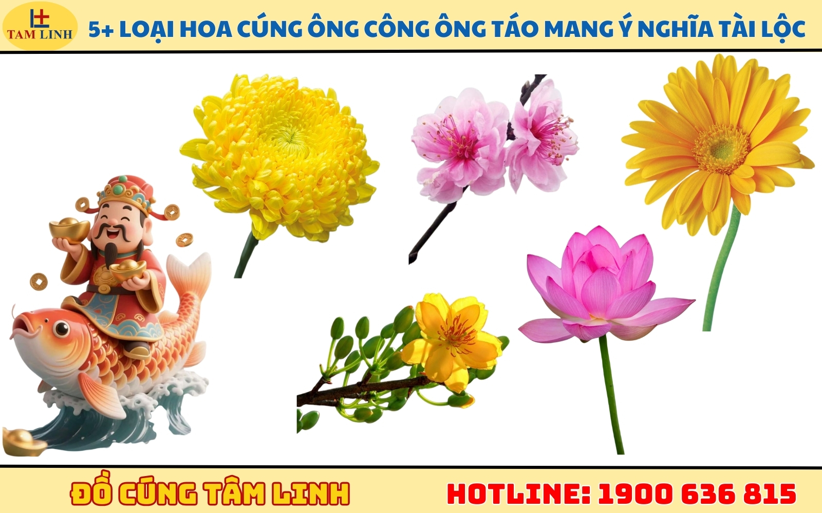 5+ loại hoa cúng ông Công ông Táo mang ý nghĩa tài lộc