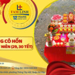 cung co hon tat nien