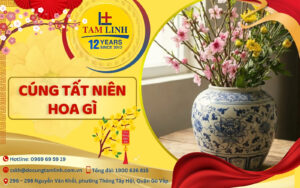 cung tat nien hoa gi