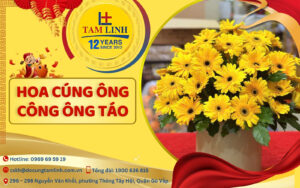 hoa cung ong cong ong tao