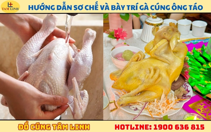 Hướng dẫn sơ chế và bày trí gà cúng ông Táo