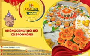 khong cung thoi noi co sao khong