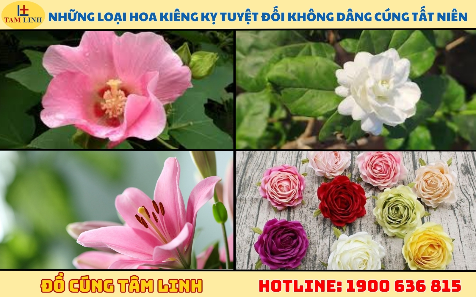 Những loại hoa kiêng kỵ tuyệt đối không dâng cúng Tất niên