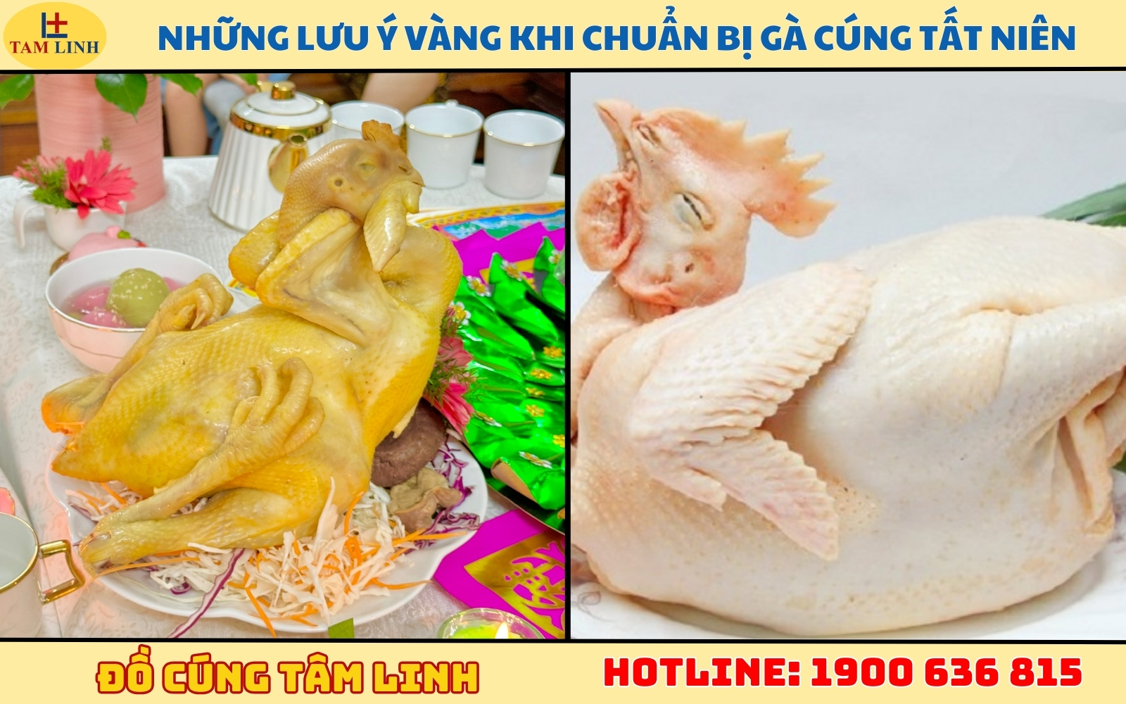Những lưu ý vàng khi chuẩn bị gà cúng Tất Niên