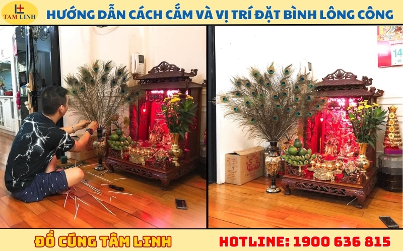 Hướng dẫn cách cắm và vị trí đặt bình lông công