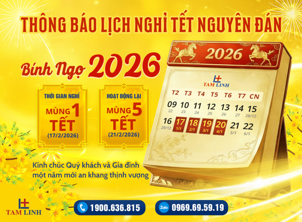 lich giao hang tet web mobile