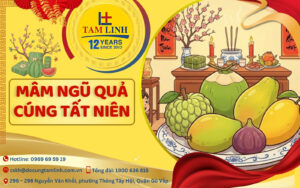 mam ngu qua cung tat nien