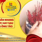 tia chan nhang truoc hay sau cung ong tao