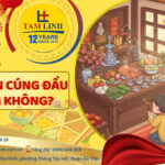 co nen cung dau nam khong