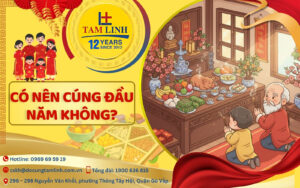 co nen cung dau nam khong