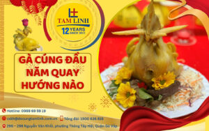 ga cung dau nam quay huong nao