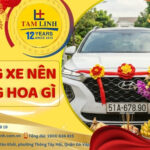 Cúng xe nên cúng hoa gì