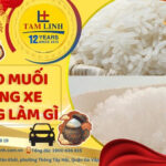 gạo muối cúng xe xong làm gì