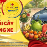 trái cây cúng xe