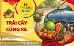 trái cây cúng xe