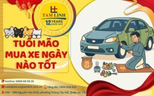 Tuổi mão mua xe ngày nào tốt
