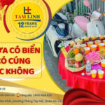 xe chưa có biển số có cúng được không