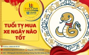 Tuổi tỵ mua xe ngày nào tốt