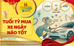 Tuổi tý mua xe ngày nào tốt