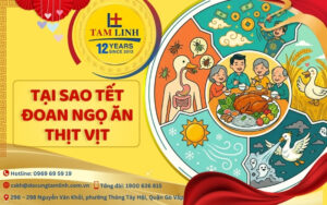 tại sao Tết Đoan Ngọ ăn thịt vịt