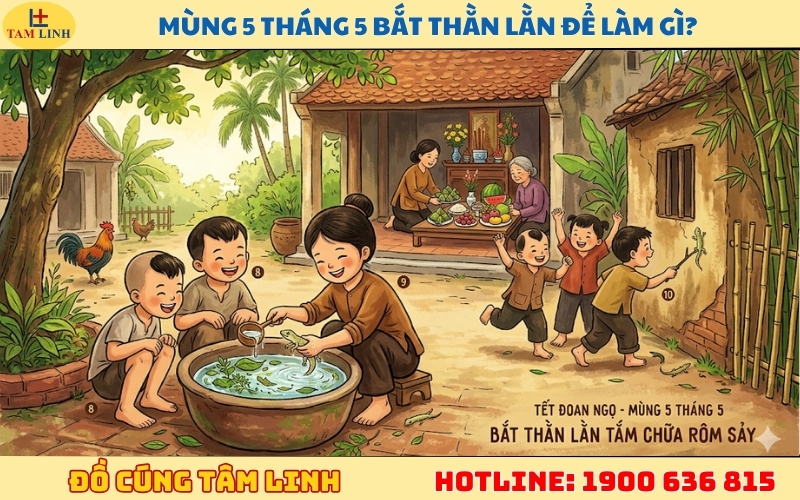Mùng 5 tháng 5 bắt thằn lằn để làm gì