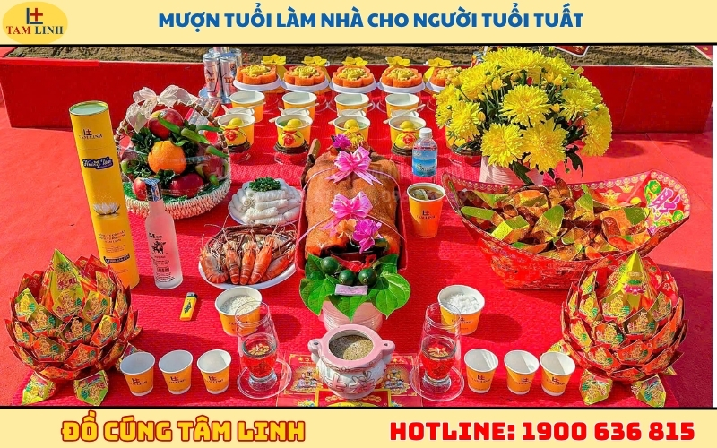 muon-tuoi-lam-nha-nam-2026-cho-nguoi-tuoi-tuat.