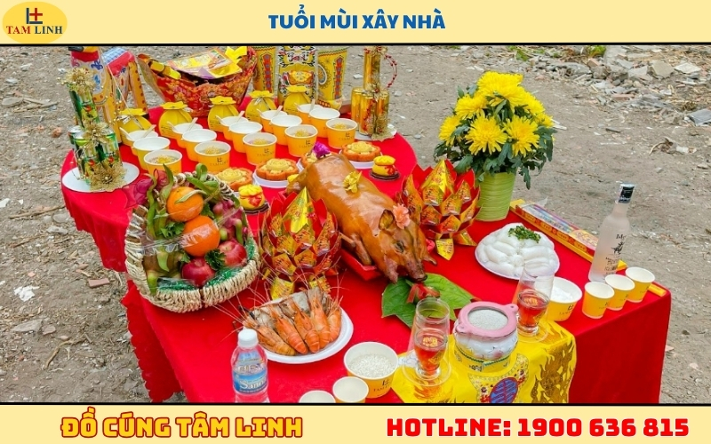 nam-2026-tuoi-mui-lam-nha-duoc-khong.