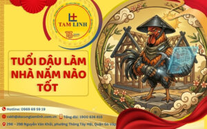 tuoi-dau-lam-nha-nam-nao-tot
