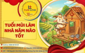 tuoi-mui-lam-nha-nam-nao-tot
