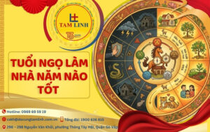 tuoi-ngo-lam-nha-nam-nao-tot