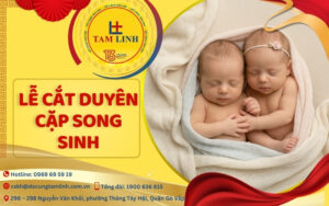 Lễ cắt duyên cặp song sinh