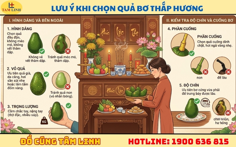 Lưu ý khi chọn quả bơ thắp hương