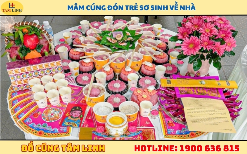 mam-cung-don-tre-so-sinh-ve-nha.