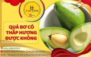 quả bơ có thắp hương được không