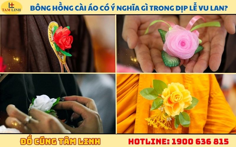 Bông hồng cài áo có ý nghĩa gì trong dịp lễ Vu Lan