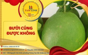 Bưởi cúng được không