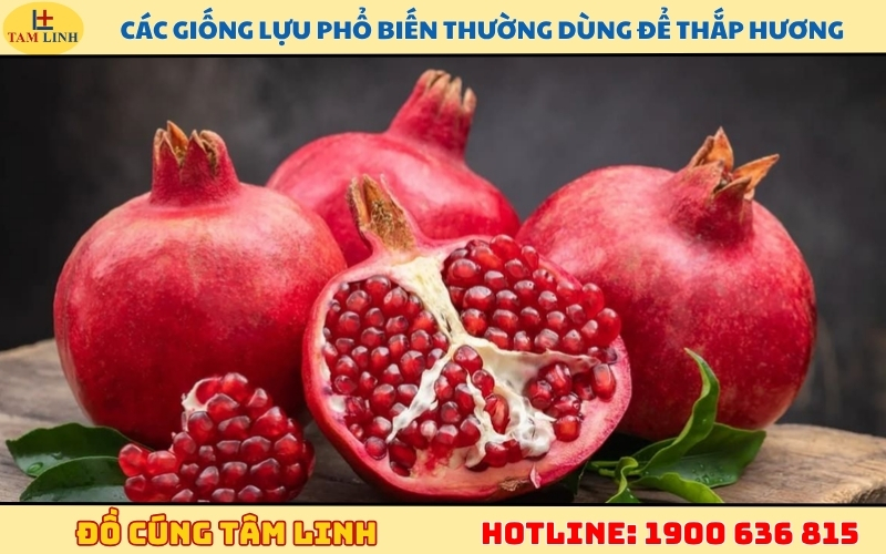 cac-giong-luu-pho-bien-thuong-dung-de-thap-huong