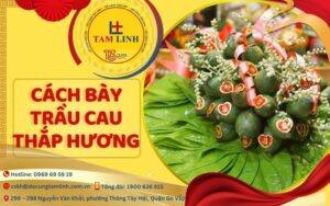 cach bay trau cau thap huong