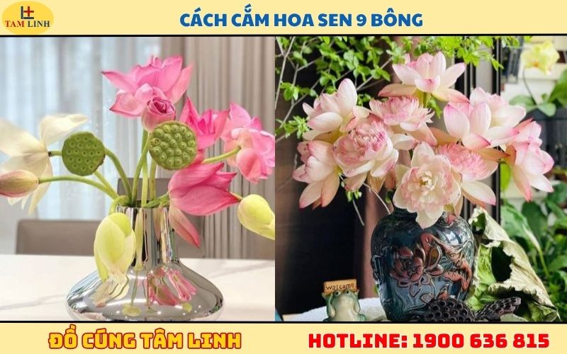 cách cắm hoa sen 9 bông