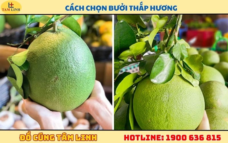 Cách chọn bưởi thắp hương