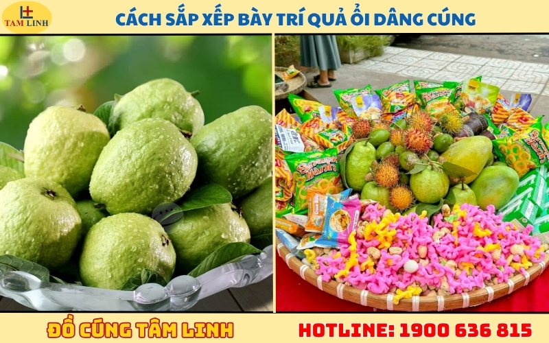 cach-sap-xep-bay-tri-qua-oi-dang-cung